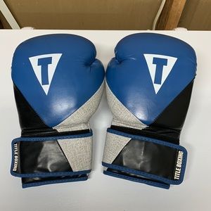 Title Boxing Gloves (16oz)